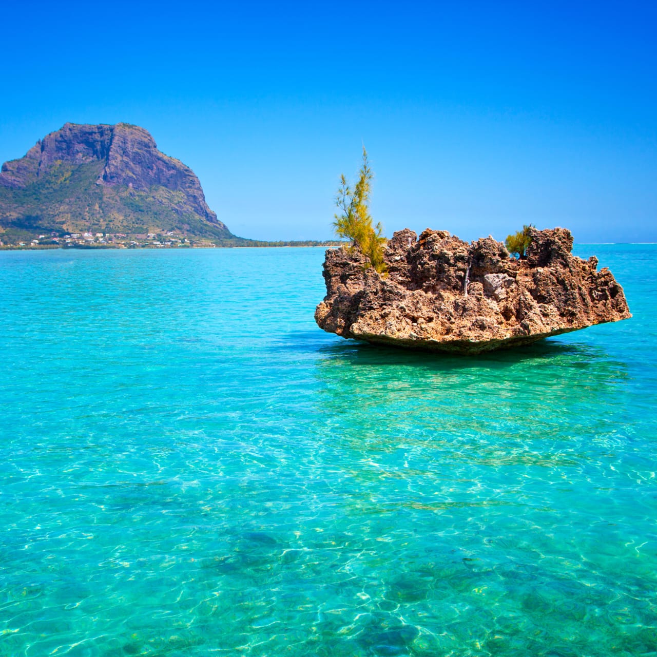 WhatsApp Image 2024-05-19 at 21.46.02