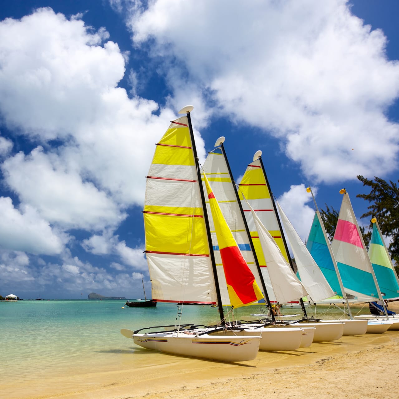 WhatsApp Image 2024-05-19 at 21.46.03 (1)